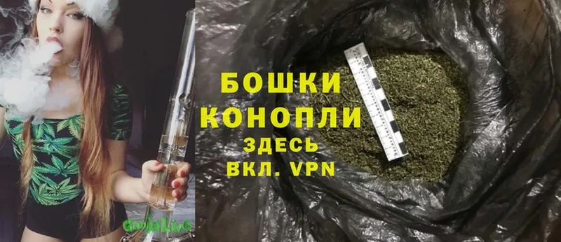 Шишки марихуана SATIVA & INDICA  где купить   Новокубанск 